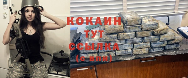 твердый Богородск