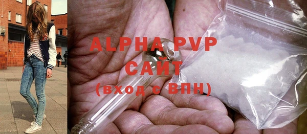 шишки Заполярный